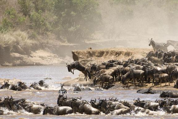 Mara Engai Wilderness Lodge – Masai Mara, Kenya