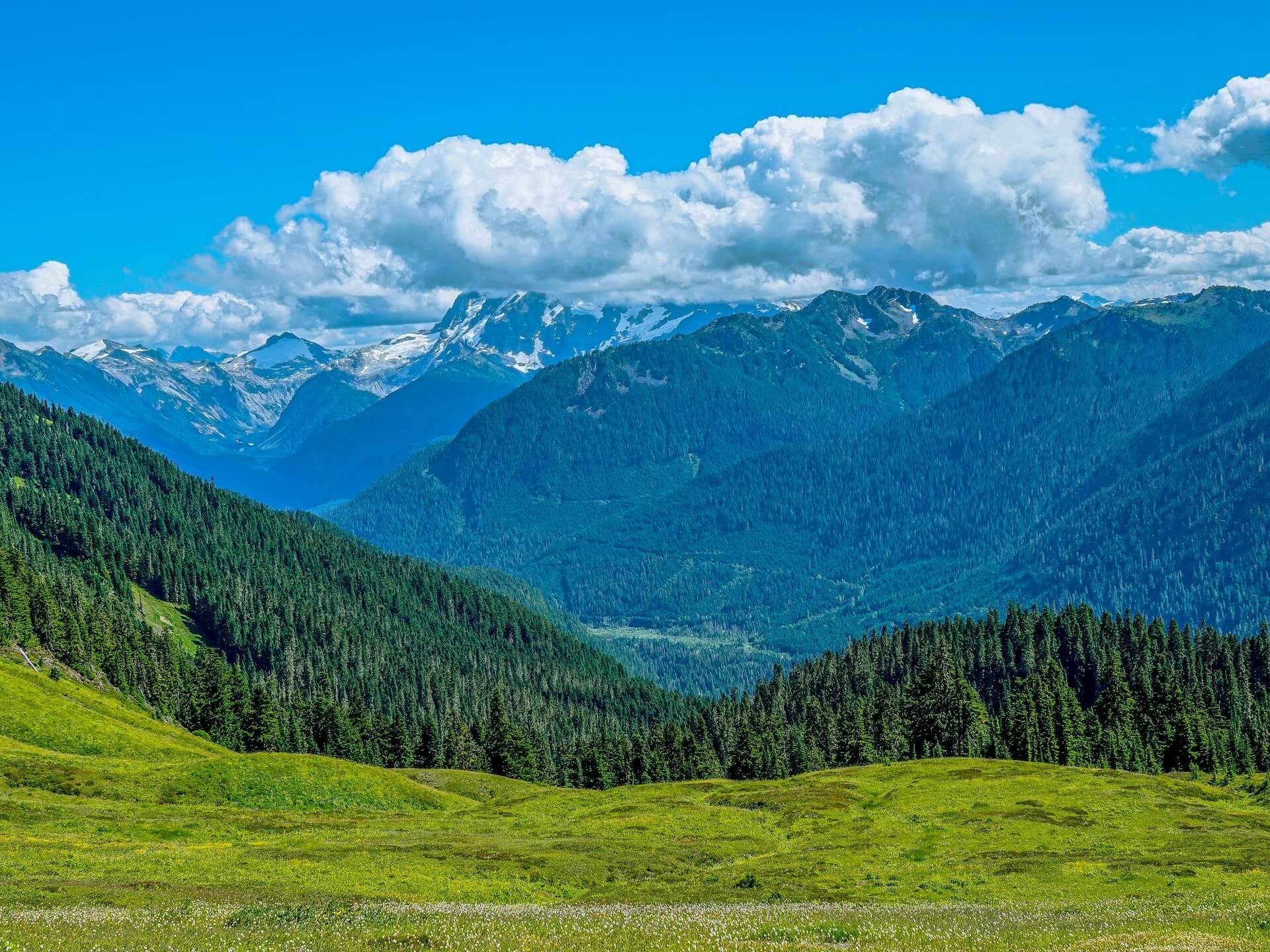 Mounutain