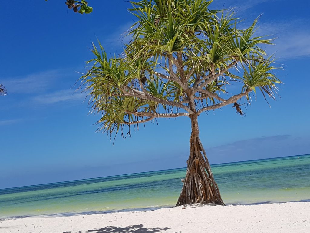 Neptune Pwani Beach Resort and Spa - Zanzibar, Kiwengwa