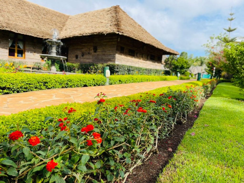 Neptune Ngorongoro Luxury Lodge - Karatu, Tanzania