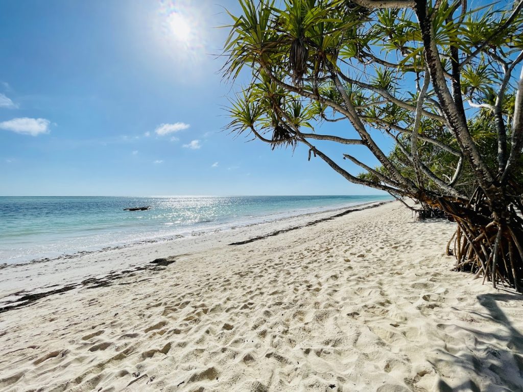 Neptune Pwani Beach Resort and Spa - Zanzibar, Kiwengwa