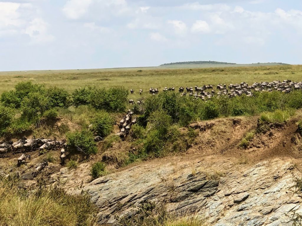 Ilkeliani Camp – Masai Mara, Kenya
