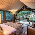 Lerai Safari Camp – Masai Mara, Kenya