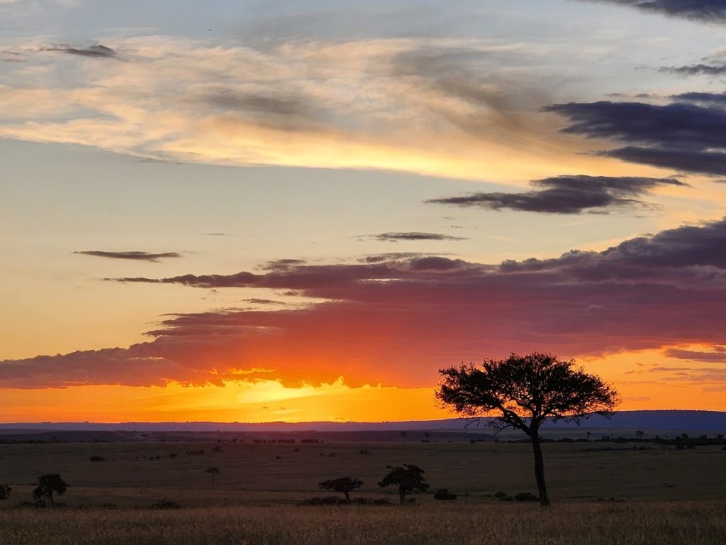 Ashnil Mara Camp – Masai Mara, Kenya