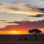 Ashnil Mara Camp – Masai Mara, Kenya