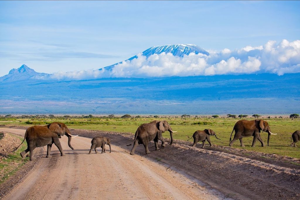 Amboseli Serena Safari Lodge – Amboseli, Kenya