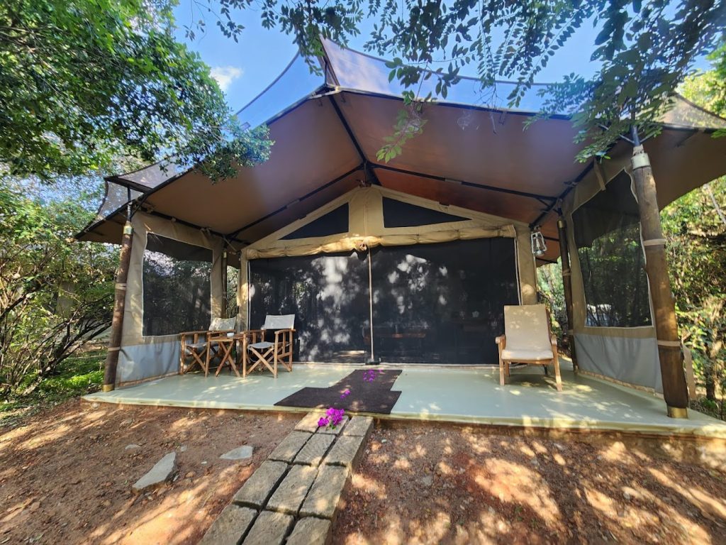 Lerai Safari Camp – Masai Mara, Kenya