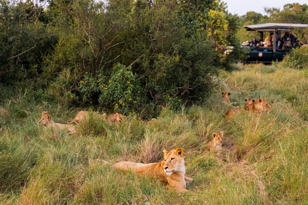 The River Camp Ol Pejeta – Ol Pejeta Conservancy, Kenya
