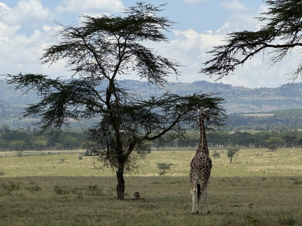 The Cliff – Nakuru, Kenya
