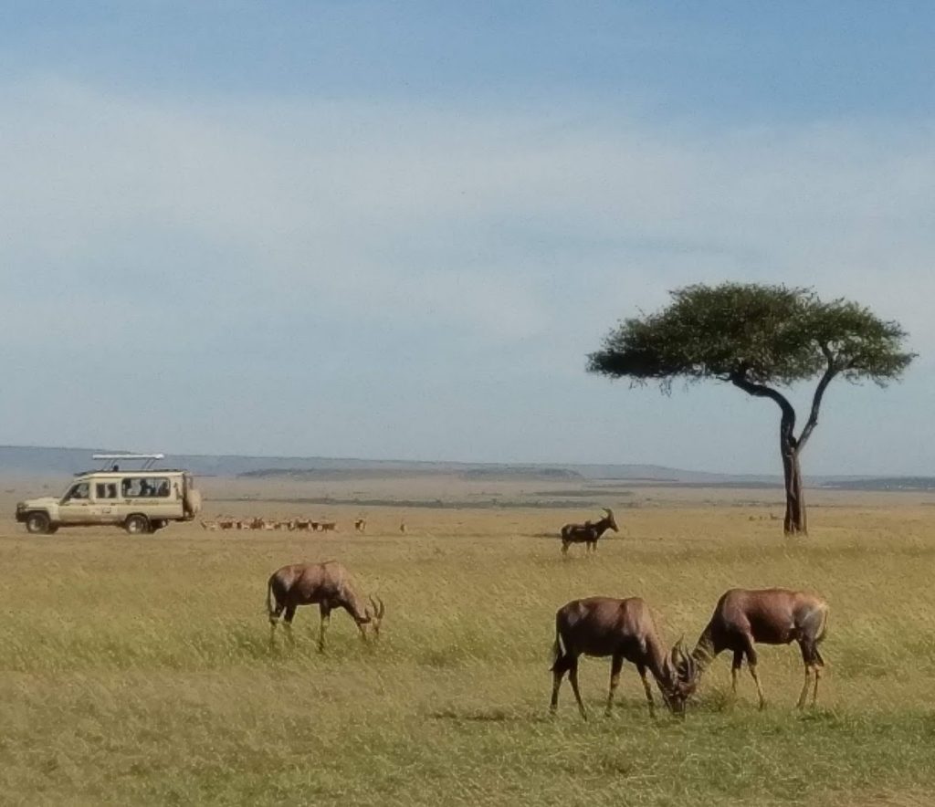 Ashnil Mara Camp – Masai Mara, Kenya