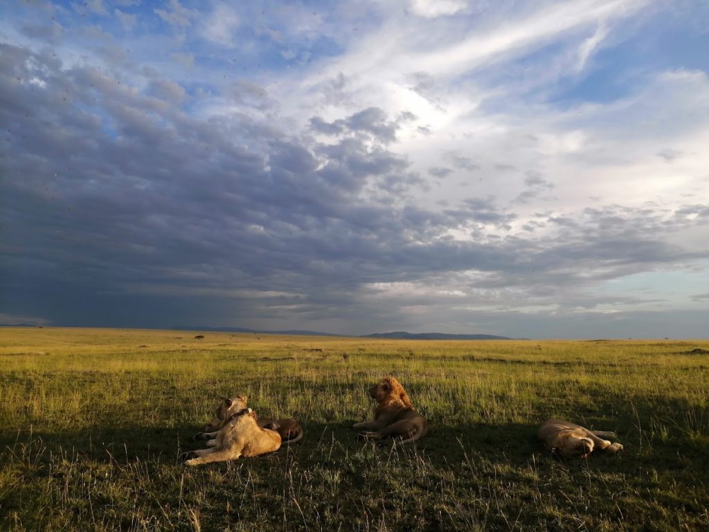 Entim Main Camp - Masai Mara, Kenya
