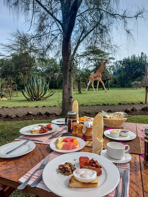 Mbweha Camp – Nakuru, Kenya