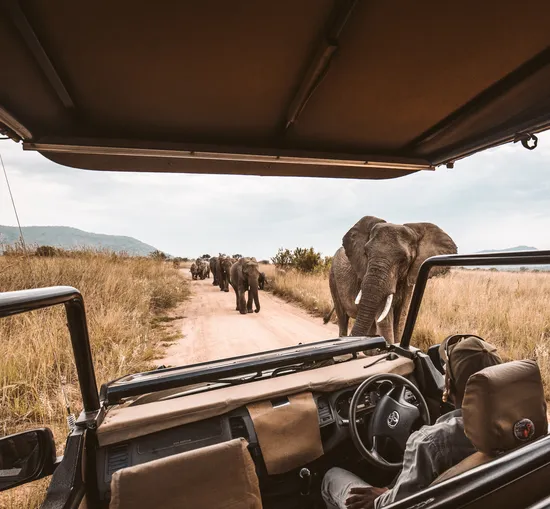 Mara Elatia Camp – Masai Mara, Kenya