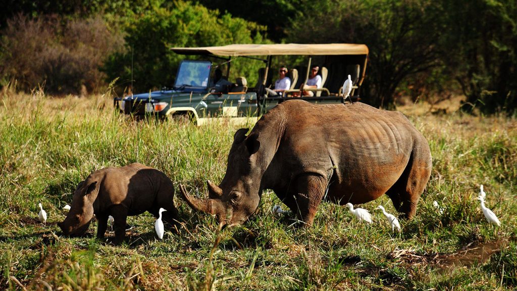 Elewana Elsa’s Kopje – Meru, Kenya