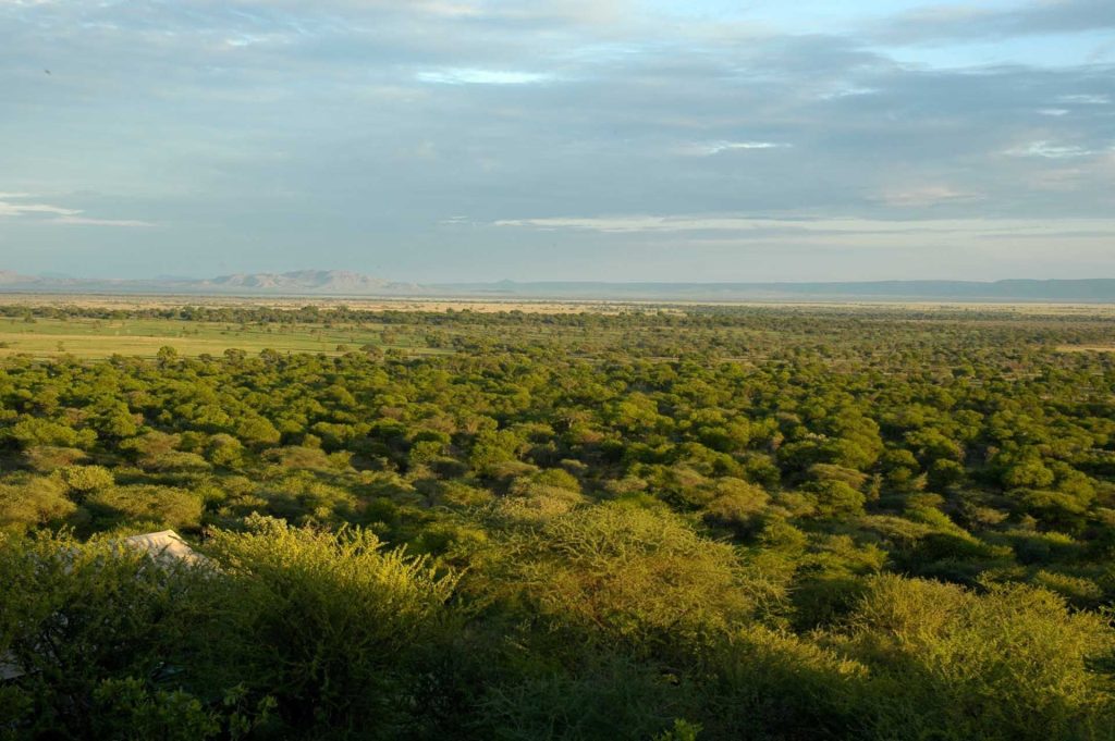 Kirawira Serena Camp, Tanzania