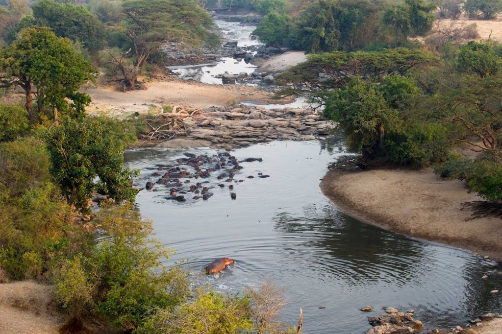 Kirawira Serena Camp, Tanzania