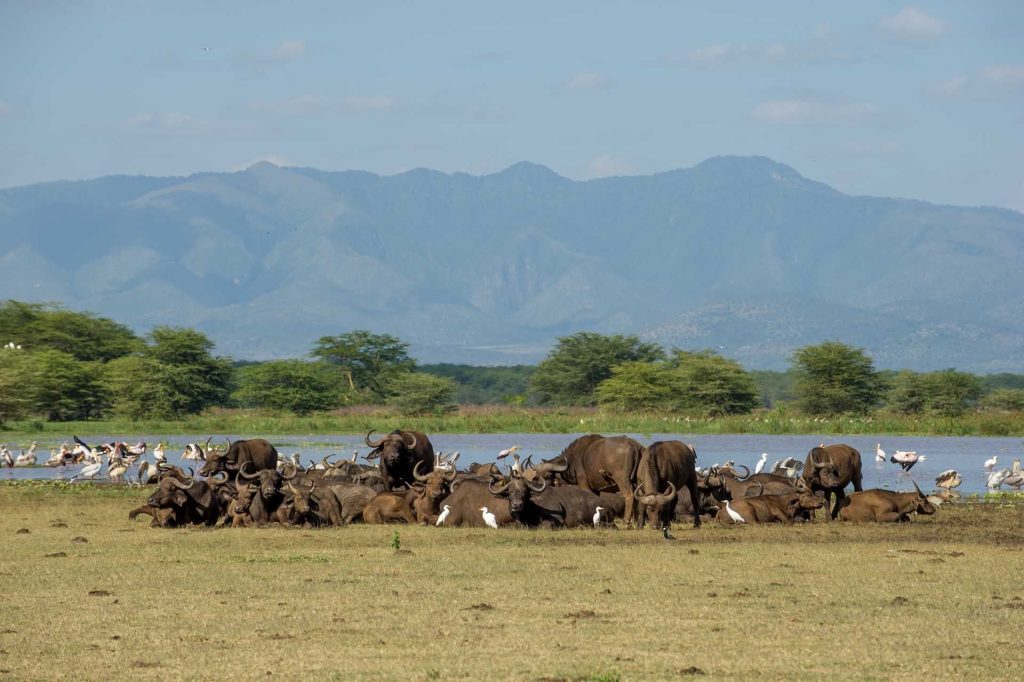 Lake Manyara Serena Safari Lodge, Tanzania