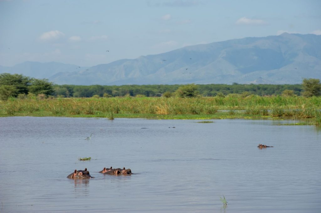 Lake Manyara Serena Safari Lodge, Tanzania