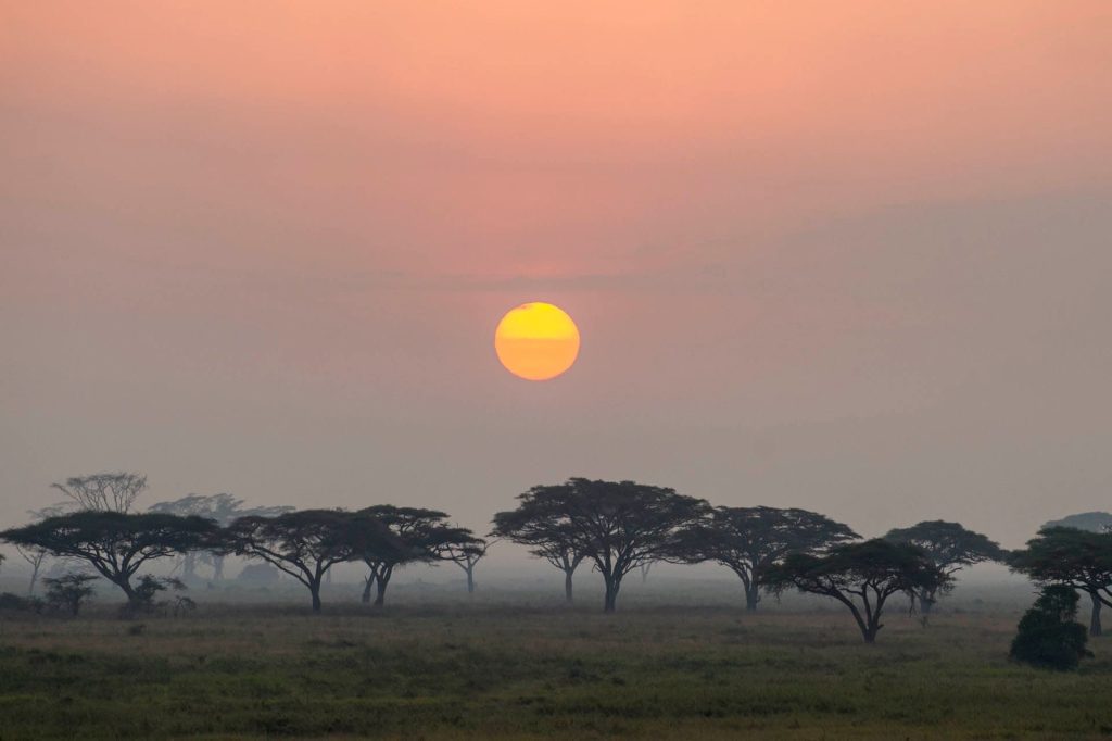 Serengeti Serena Safari Lodge, Tanzania