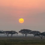 Serengeti Serena Safari Lodge, Tanzania