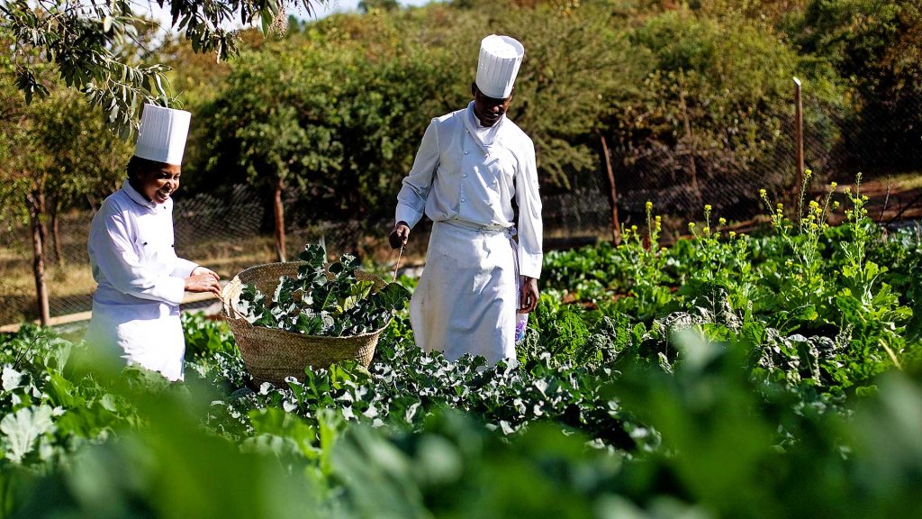 Masai Mara Sopa Lodge, Masai Mara, Kenya