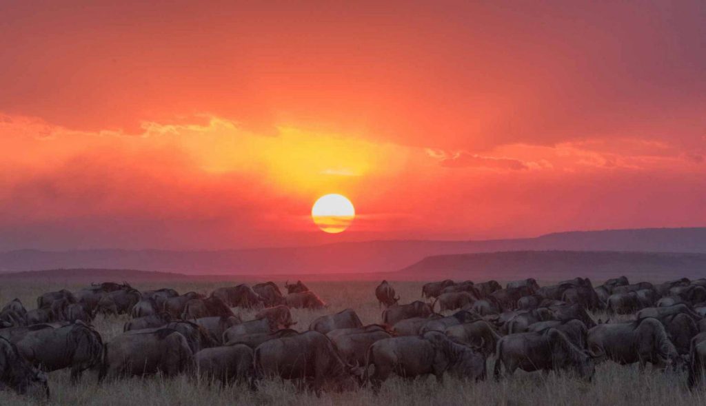 Kilima Safari Camp - Amboseli - Kenya