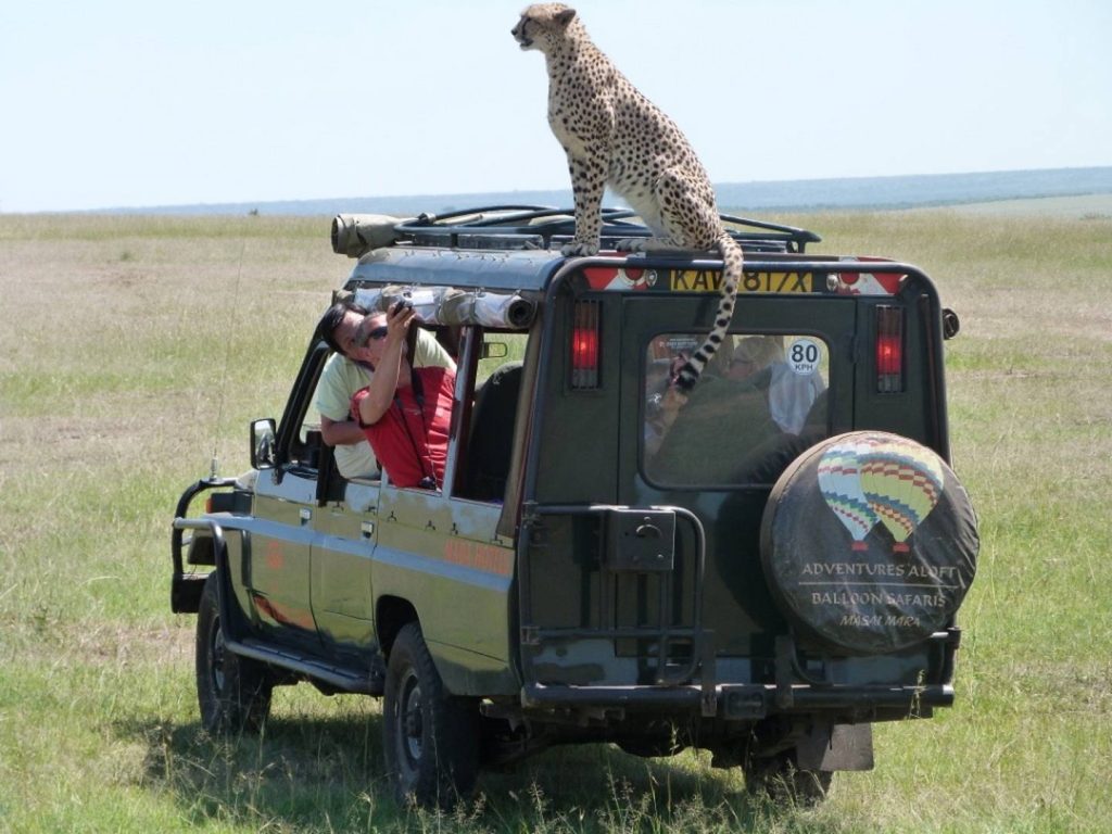 Kilima Safari Camp - Amboseli - Kenya