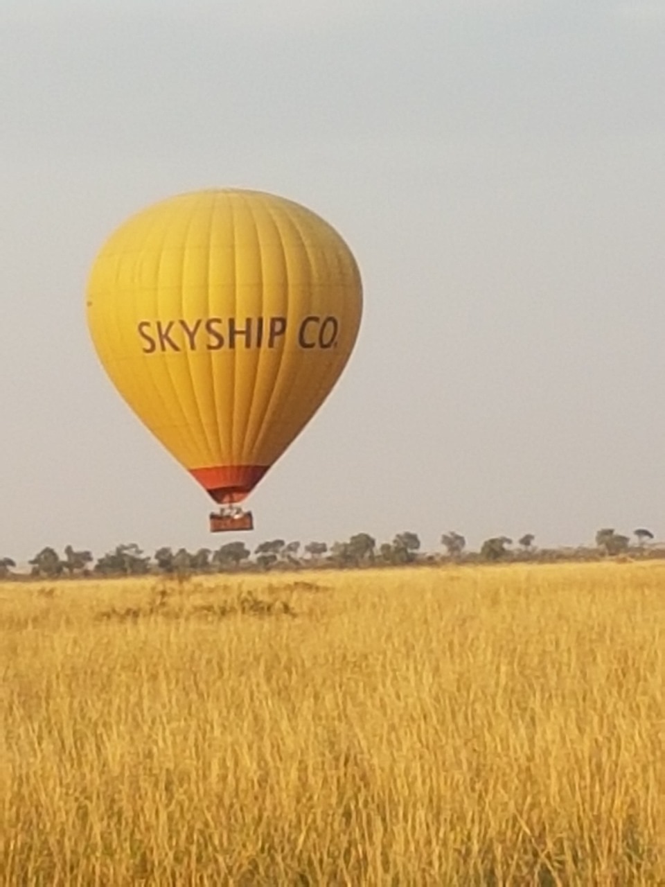 Hot air balloon in flight over the Masai Mara