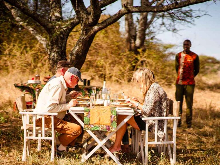 Bush breakfast on safari