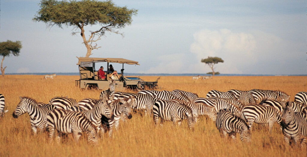 Samburu safari experience in northern Kenya