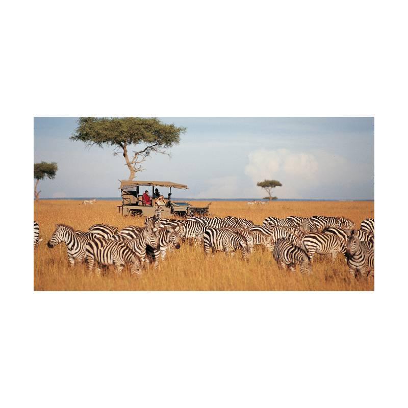 Wildlife in Samburu National Reserve, northern Kenya