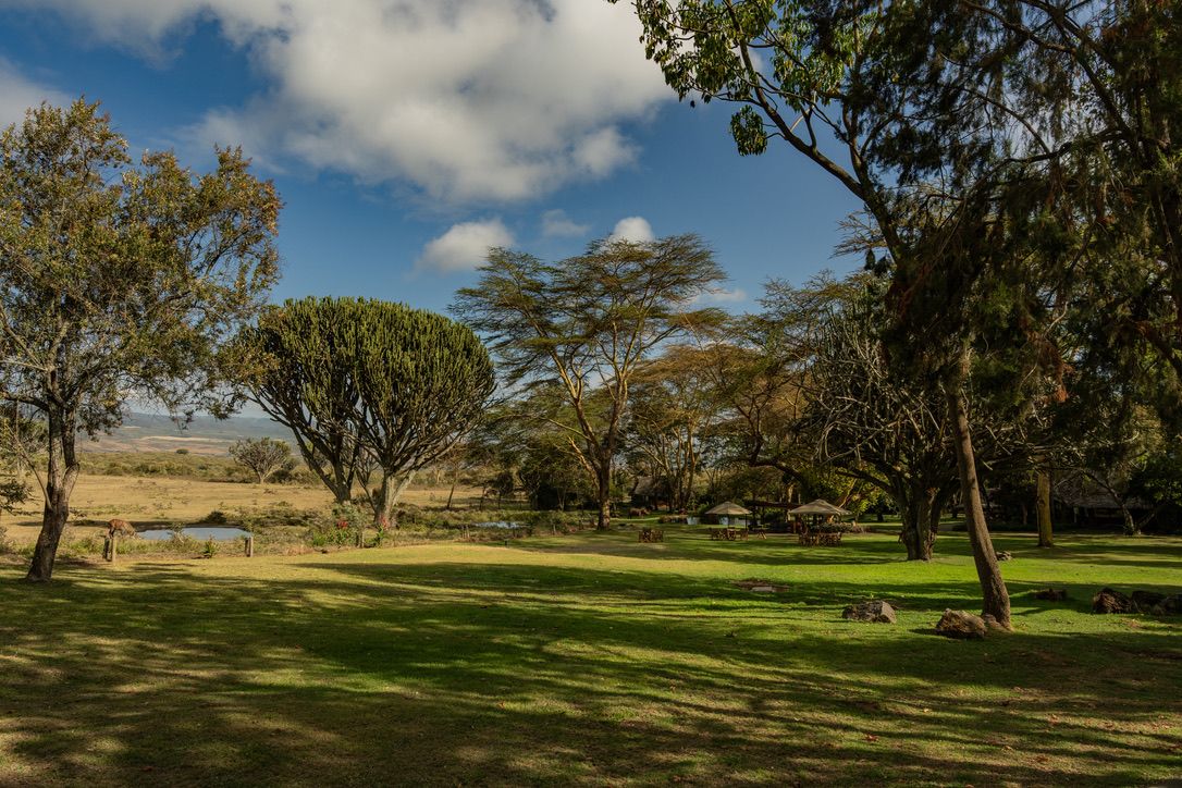 Chui Lodge, Naivasha, Kenya - photo 4
