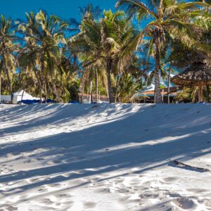 Diani Beach 2018 3