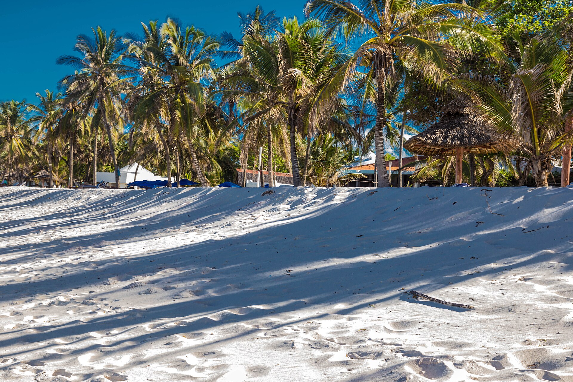 Diani Beach 2018 3 Diani Beach 2018 3