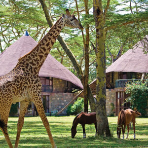 Lake Naivasha Sopa Resort, Naivasha, Kenya
