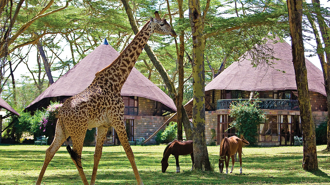 Lake Naivasha Sopa Resort, Naivasha, Kenya