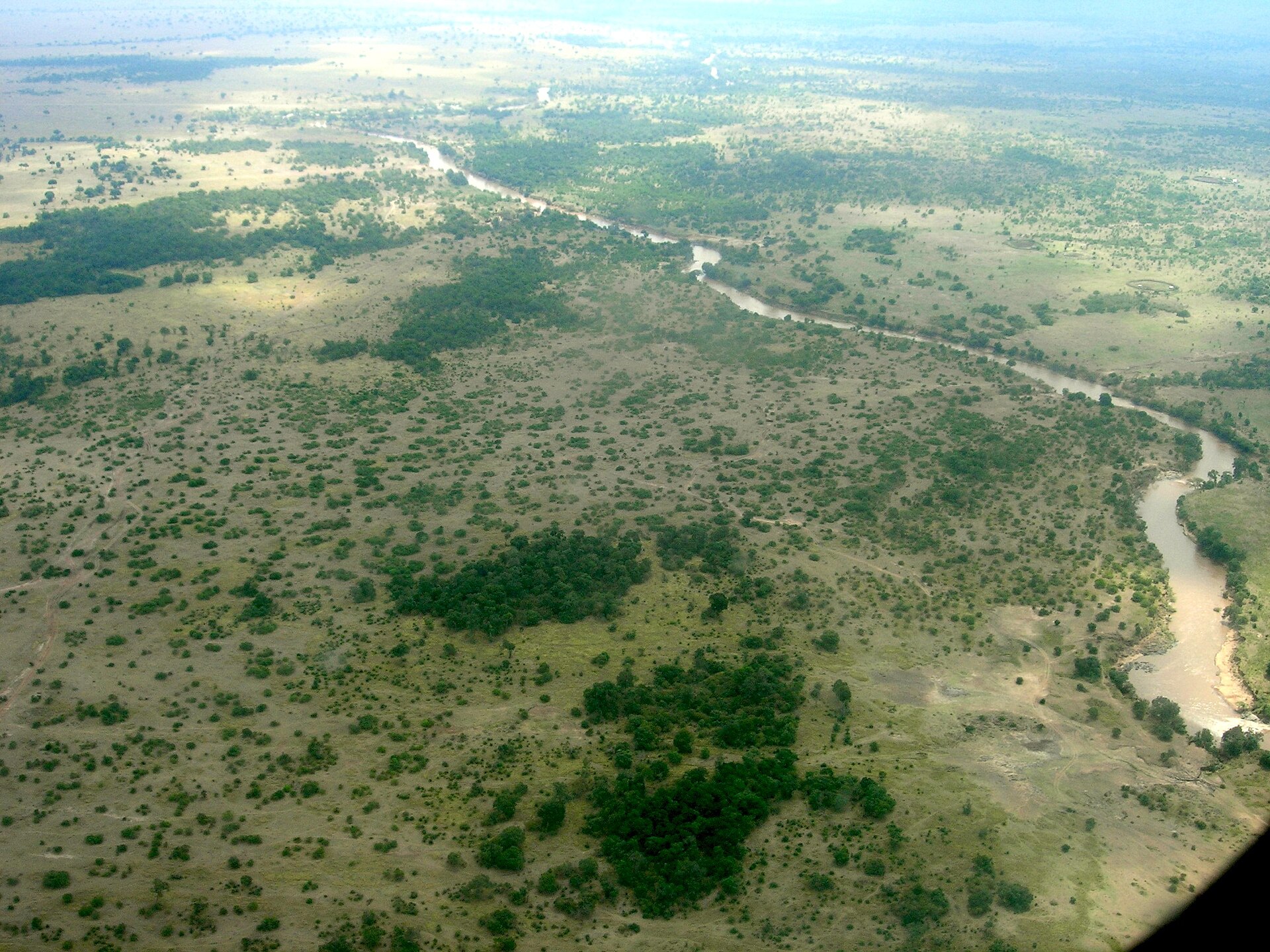 Mara River Massai Mara Mara River Massai Mara