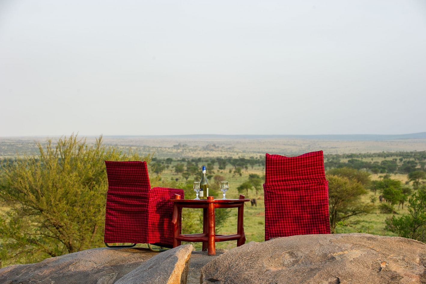 Mbuzi Mawe Serena Camp - photo 4 Mbuzi Mawe Serena Camp - photo 4