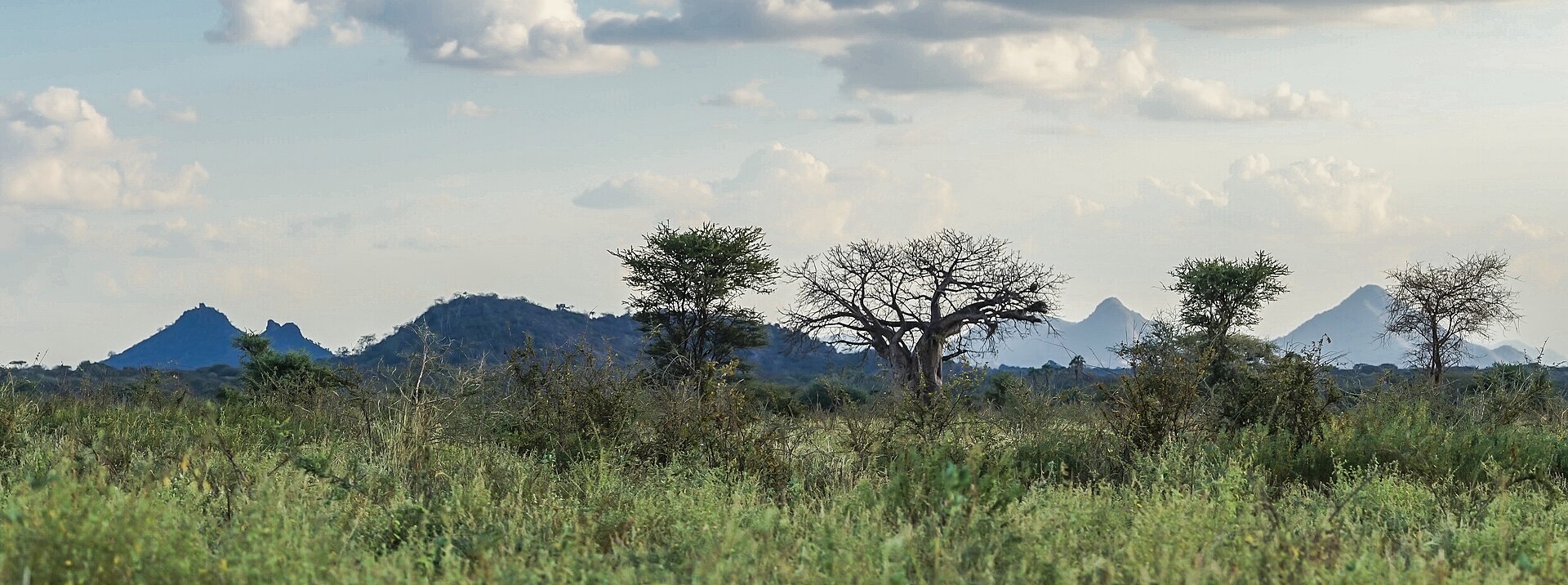 Meru National Park, Kenya