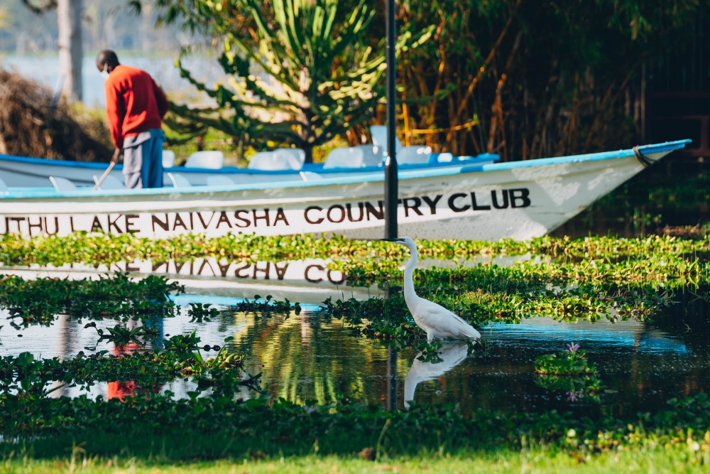 Muthu Lake Naivasha Country Club, Naivasha, Kenya - photo 5