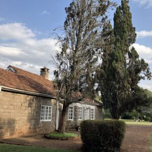 Karen Blixen Museum cypress trees