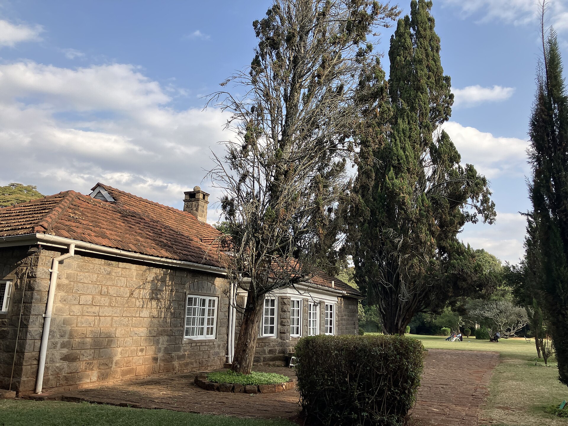 Karen Blixen Museum cypress trees