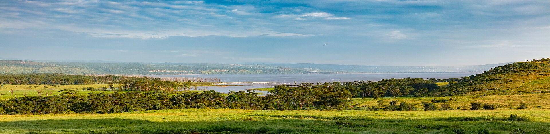 Lago Nakuru, Kenia, 2024-05-19, DD 04