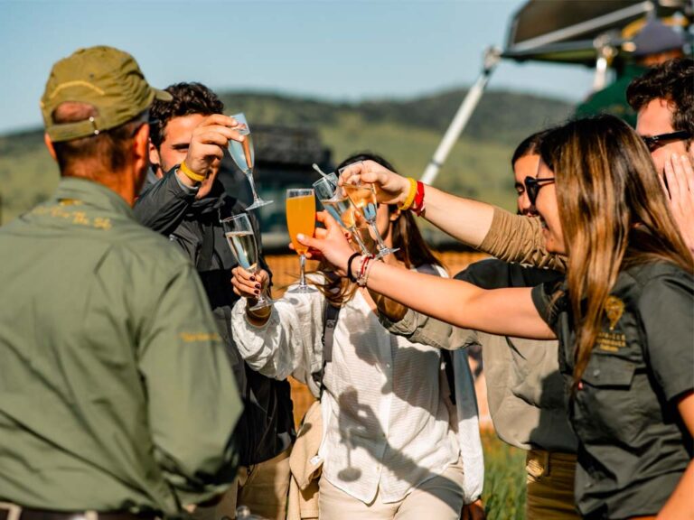 Hot air balloon safari