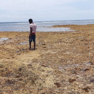 Watamu Beach, Kenya 08